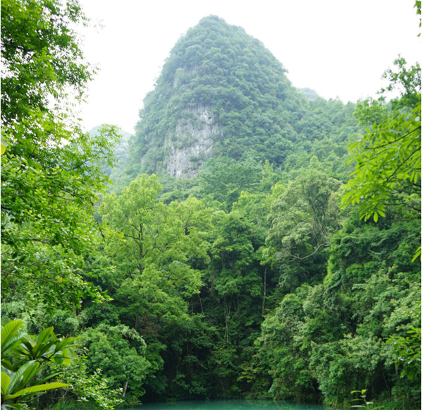 賞華夏大地，游多彩貴州-－2021年廣東博皓快樂行-2